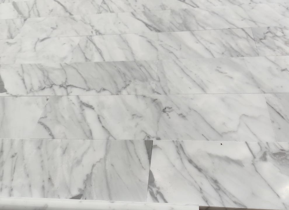 Jodła Bianco Carrara 