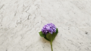Bianco Carrara M8+